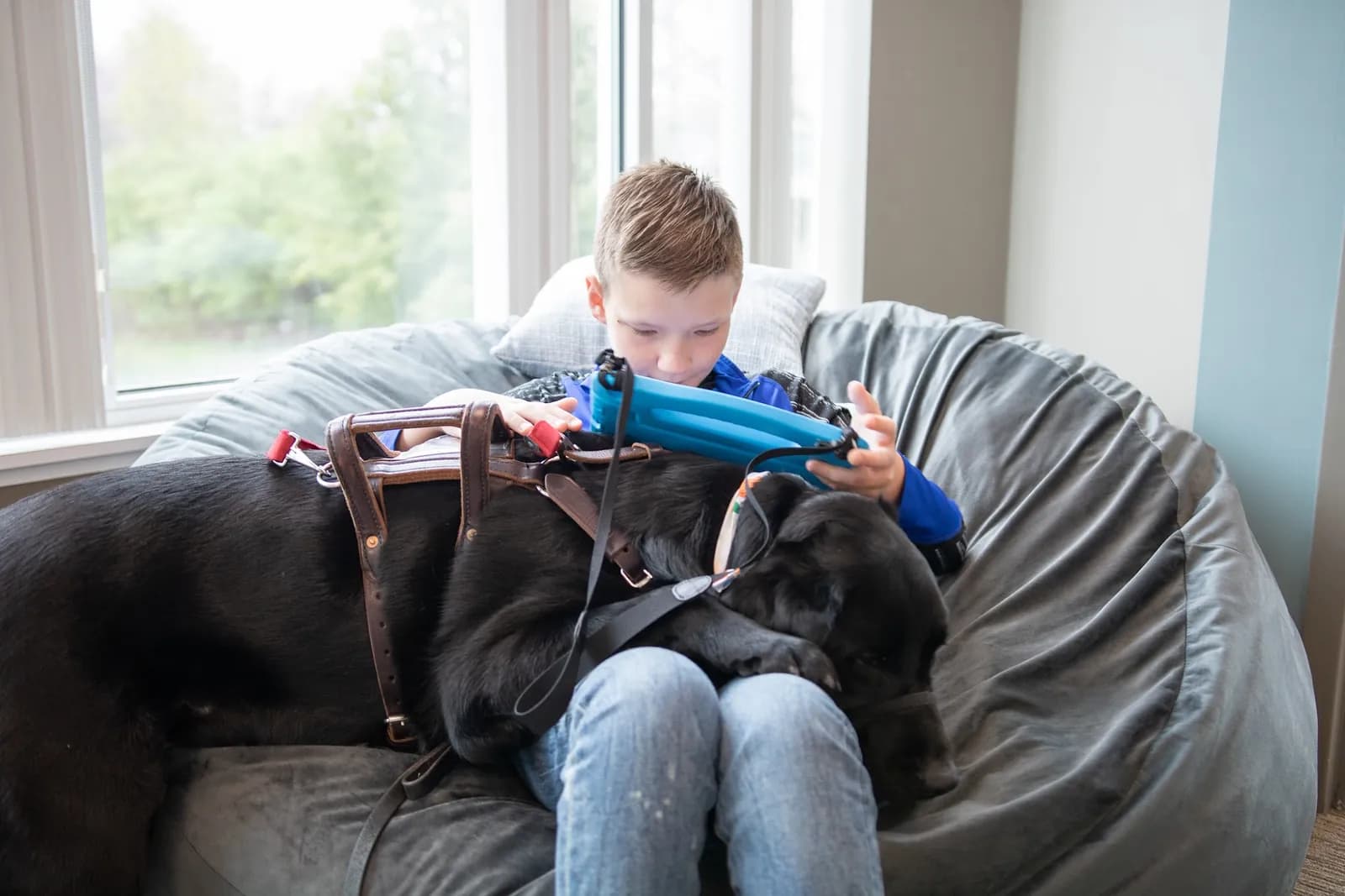 A child sitting in a beanbag chair using a tablet in a protective case, with a service dog resting across their lap